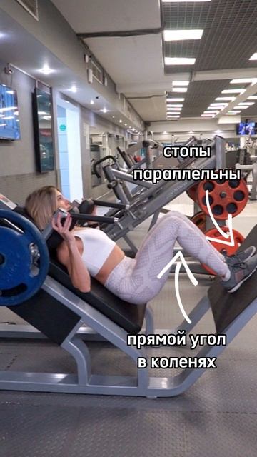 Гакк-присед смотреть онлайн