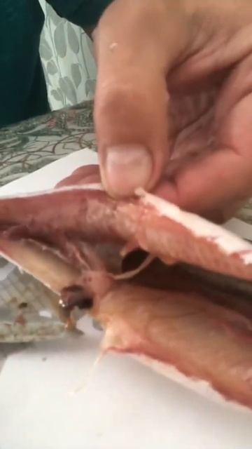 Рыбалка. Вяленный омуль. Еда. Кухня. #шорст #друзья #nature смотреть онлайн