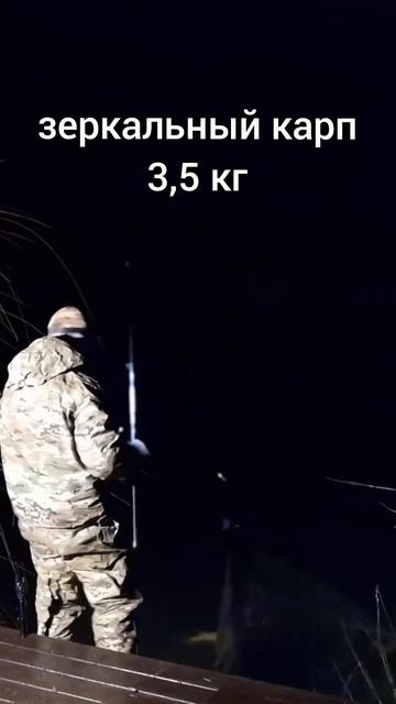 ПЕРВЫЙ КАРП СЕЗОНА 2025! #carpbolo #болонка #ловлякарпа #рыба?