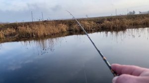 Спиннинг для мормышинга  Akara estetic