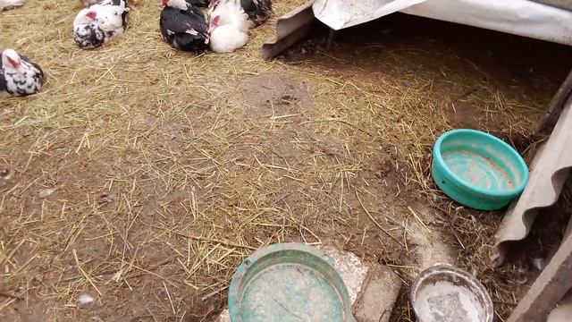 Днепропетровская область / Отвела козла в другой сара смотреть онлайн