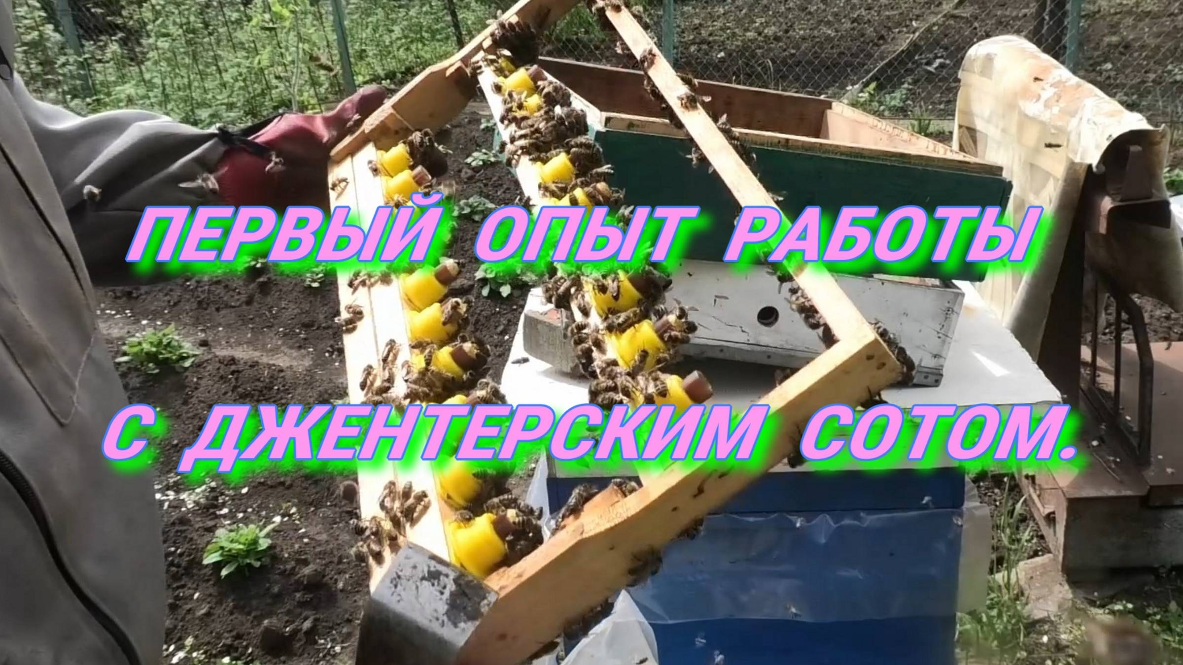 ДЖЕНТЕРСКИЙ СОТ ЭТАПЫ БЫСТРОГО СТАРТА. смотреть онлайн