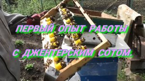 ДЖЕНТЕРСКИЙ СОТ ЭТАПЫ БЫСТРОГО СТАРТА.