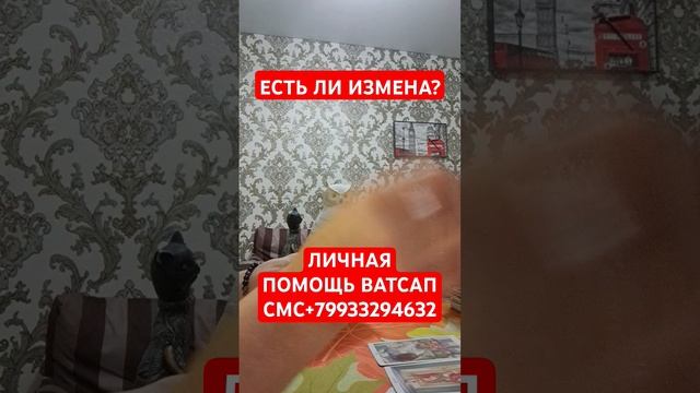 ЕСТЬ ЛИ ИЗМЕНА?#тародня#таро#магия#гадание#чистка#таро смотреть онлайн