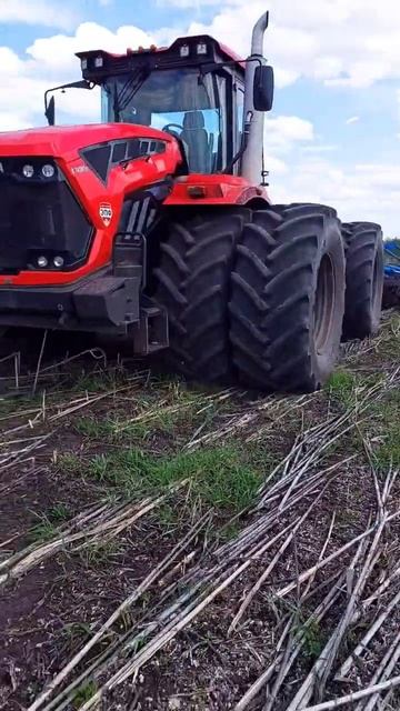 #механизаторы #кировец #работа #лето2023 смотреть онлайн