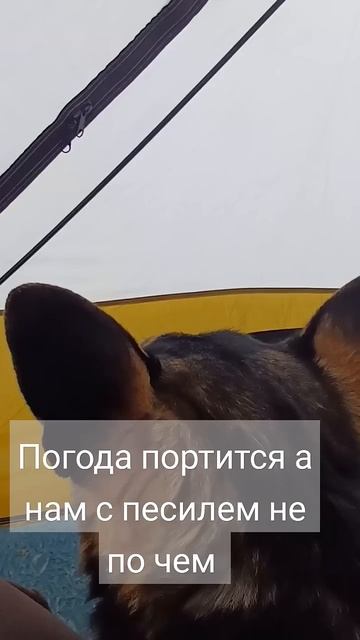 рыбка ловится хоть и погода испортилась мы с псом рыба смотреть онлайн