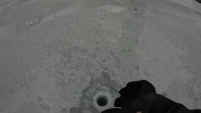 РИБОЛОВЛЯ З КРИГИ|ОКУНЬ НА МАРОПЕДКУ смотреть онлайн