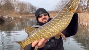 ЗЛІ ЩУКИ + ОГЛЯД Graphiteleader Silverado 23GSILS- 792m 5-20g