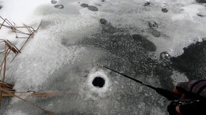 Ловля ЩУКИ на ВИБы зимой ! Зимняя рыбалка на ЩУКУ в глу?