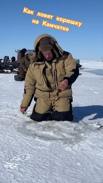 Как ловят КОРЮШКУ на Камчатке, иногда ;) смотреть онлайн
