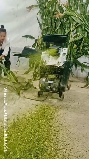 ИЗМЕЛЬЧИТЕЛЬ ЗЕРНО И СЕНА смотреть онлайн