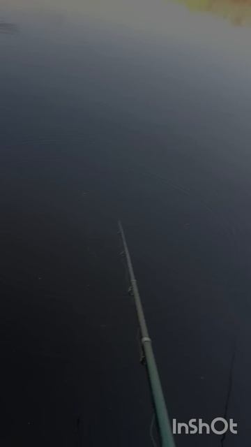 С детьми На вечернем карасике. смотреть онлайн