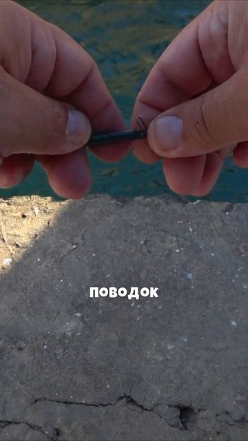 Лучшая снасть для рыбалки в Сочи. Это отводной поводок смотреть онлайн