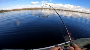 Вертушки MEPPS бессмертная классика или поклевки на каж?