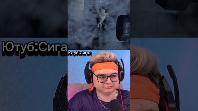 Реакция взята с Ютуба Сигал,там есть реакции на Ванпис смотреть онлайн