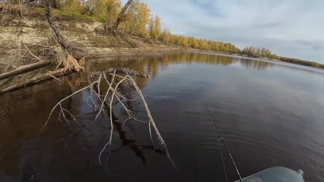Ловля щуки с лодки в отвес!Зачётная рыбалка!Вторая сер смотреть онлайн