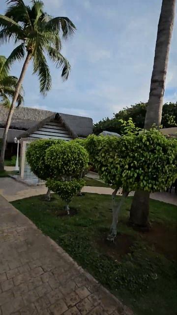 iberostar tainos 4* Cuba 🇨🇺 бассейн смотреть онлайн