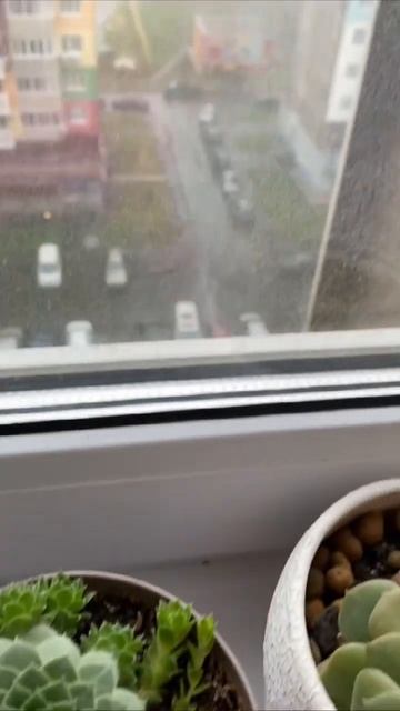 Хороших выходных!:) #travelvlog #лайфстайл #любовь #комнатны? смотреть онлайн