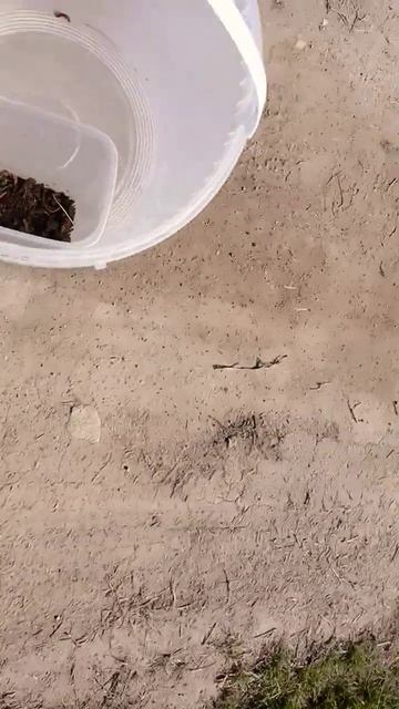 иду на рыбалку смотреть онлайн