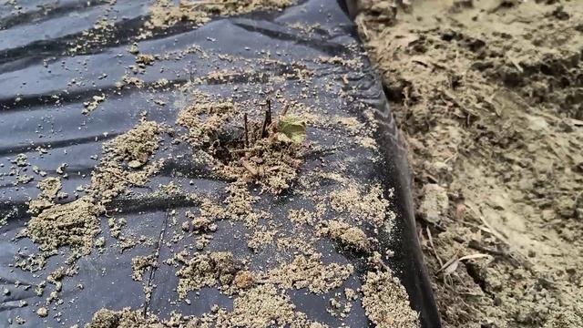 24 март 2025 г. смотреть онлайн