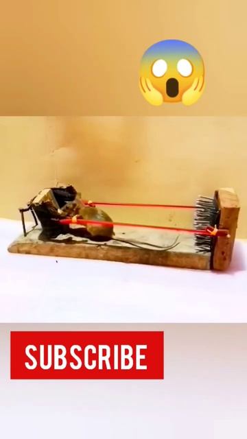 #mousetrap #мышеловка