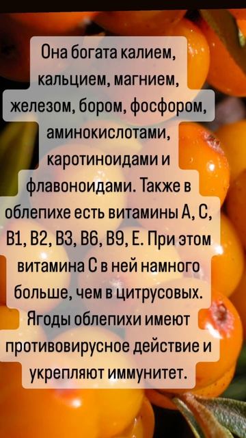 Польза облепихи смотреть онлайн