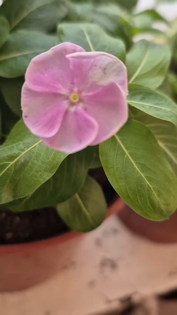 22 января 2025 г. смотреть онлайн