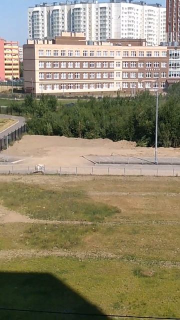 Вырубать и спиливать деревья не будут их просто засып? смотреть онлайн