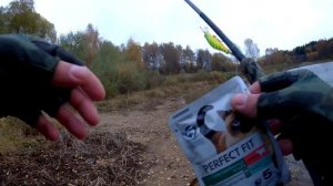 ОПЯТЬ РУЗА, СИЛЬНЕЙШИЙ ВЕТЕР, ОЧЕНЬ ДОБРАЯ, НО ГРУСТНА?