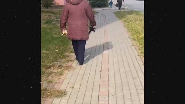 Я ржал до слез 😂 9 Минут смеха 2025 Смешные видео Лучшие смотреть онлайн