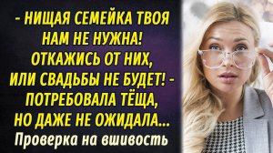 Проверка на вшивость АУДИОРАССКАЗ Настя Ильина