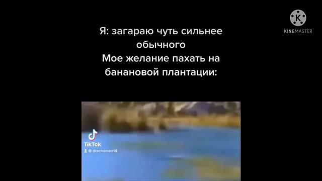 Миньон на велике мем смотреть онлайн