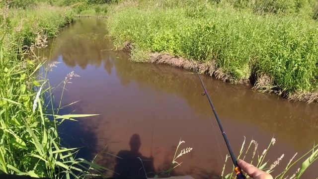 #мормышинг | Микро речка | Язь, плотва, лещ, окунь, щука о смотреть онлайн