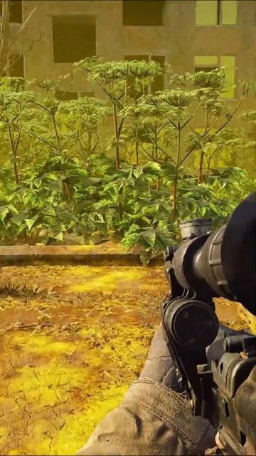 Аномалия: заросли борщевика в #stalker2