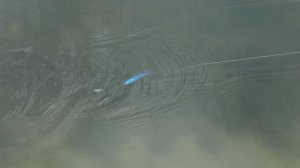 LureMax Machete. Универсальная приманка для твичинга и равно?