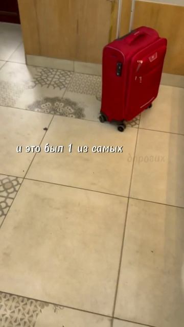 а вы пробовали такой? #кофе #раф #дубайскийшоколад #shortsv смотреть онлайн