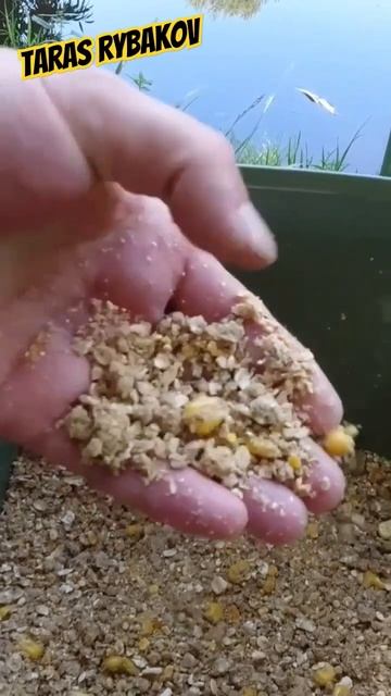 МОЯ УЛОВИСТА ПРИКОРМКА #РИБАЛКА #ФІДЕР #КАРП смотреть онлайн