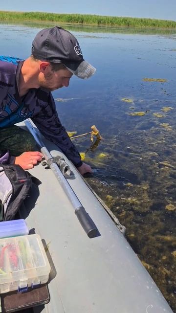 Первый раз в 2024г выплыли в лиманы Краснодарского края смотреть онлайн