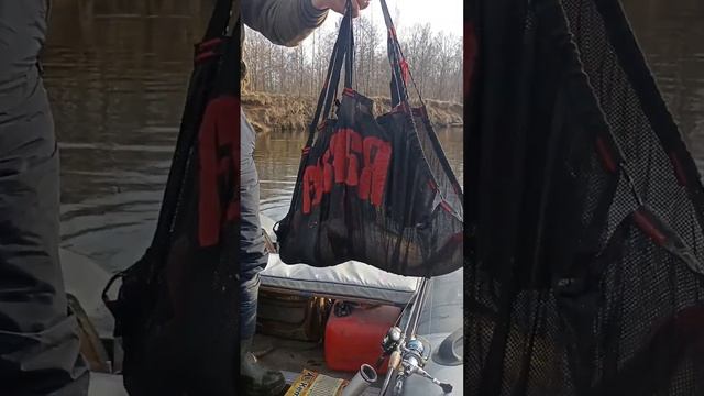 Трофейная щука на воблер. Река Свислочь. #fishing #рыбалка смотреть онлайн