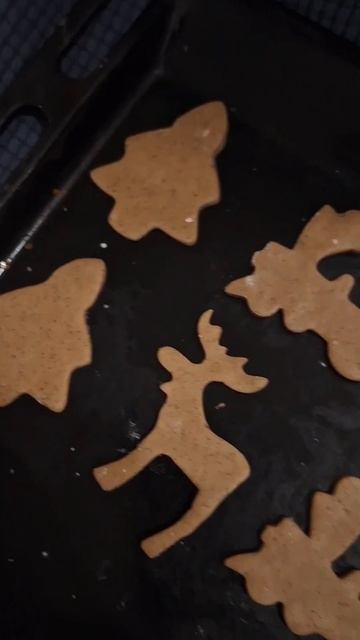 Имбирные пряники 🎅 #tanyaaatiii #minivlog #vlog #новыйгод смотреть онлайн