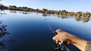 Судак осенью.Джиг-риг с hearty rice innovation 832m.