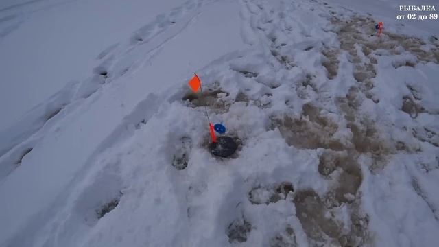 Рыбалка в кайф под пение птиц, шум ветра и блики солнца