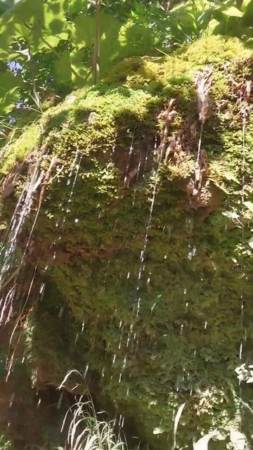 Краснодарский Край Шапсуга .Звуки природы.Отдых у мор? смотреть онлайн