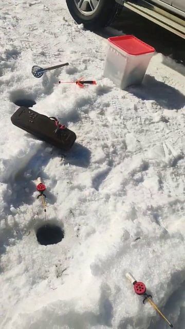 Очередной выезд на рыбалку. Сегодня без щуки смотреть онлайн