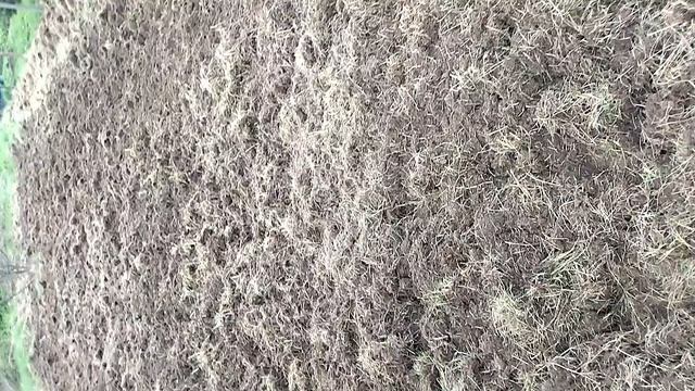 Вспашка целины мотоблоком Донагромаш.mp4 смотреть онлайн