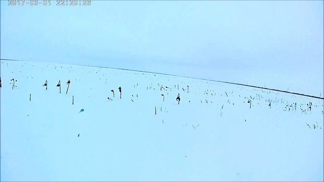 Охота на зайца 2019 смотреть онлайн