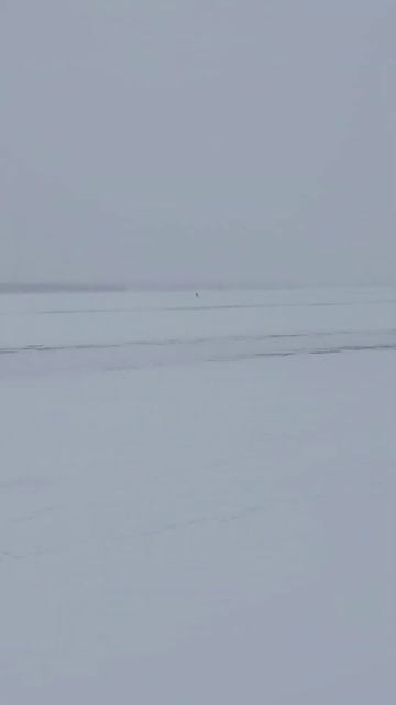 Веселый рыбак уплыл на льдине. Зимняя рыбалка смотреть онлайн