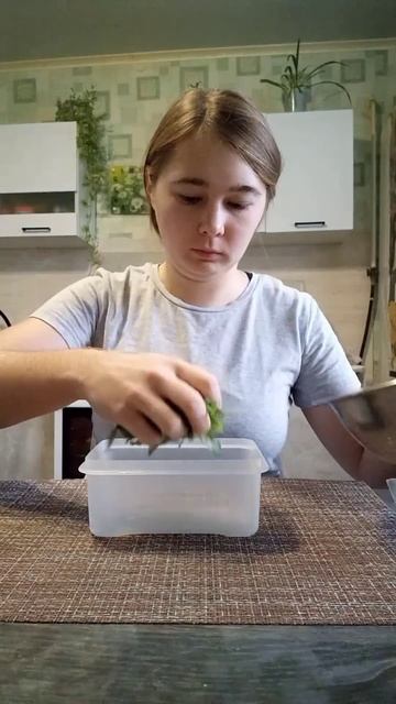 Что я ем за день, чтобы похудеть на 5 кг за месяц? #питан? смотреть онлайн