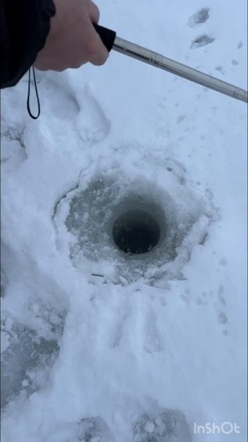 1 рыба на этом озере #зимняярыбалка#форель#счасливаяры