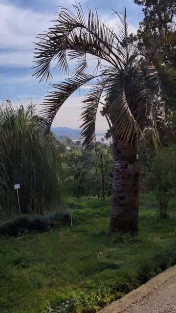 Невероятной красоты Сад🤩#грузия #природа #лето2024 #жиз